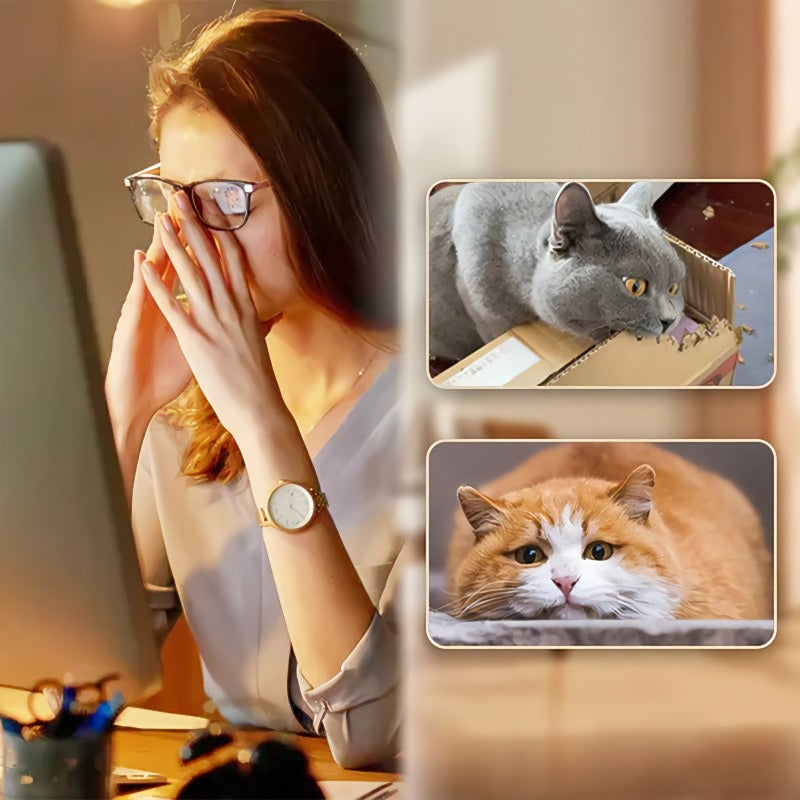 FeatherBounce – Spielspaß für aktive Katzen!