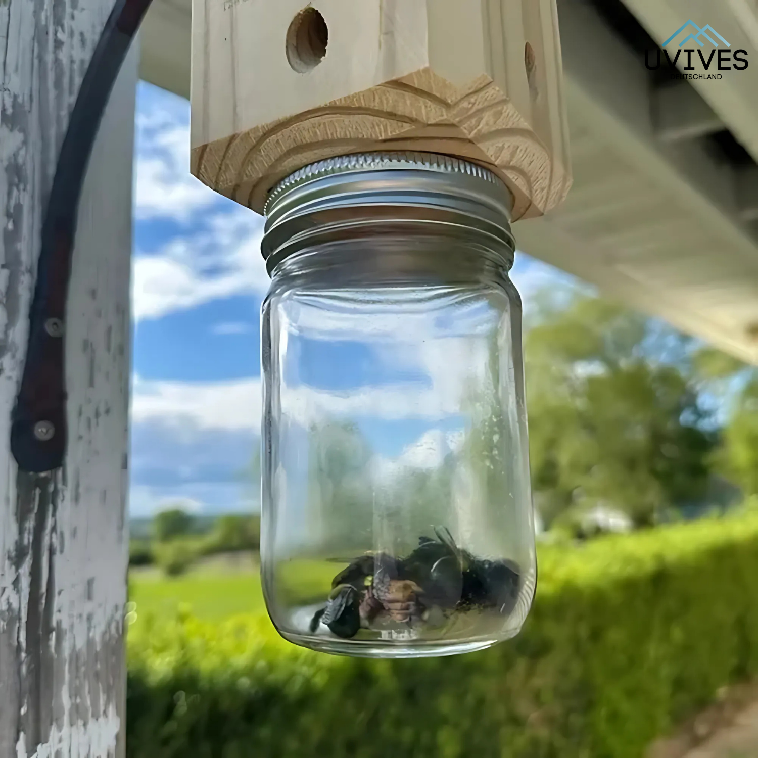 WoodGuard™ – Die chemiefreie Falle gegen Zimmermannsbienen
