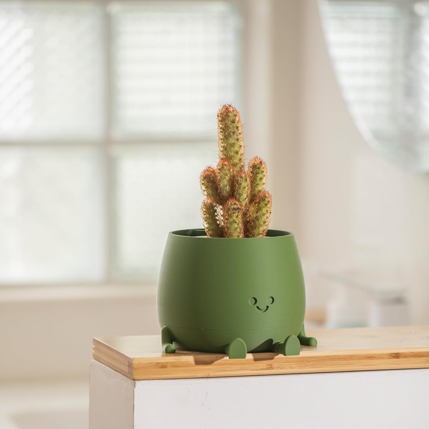 BloomBuddy – Lächelnde Pflanzen, glückliches Zuhause!