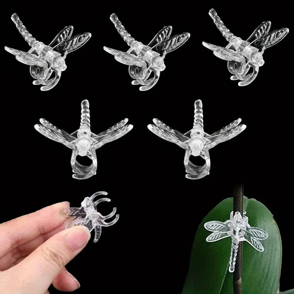 PlantGuard Stengelclips | Unsichtbare Pflanzenhalter für Kletterpflanzen | 100 Stück | Transparentes Design