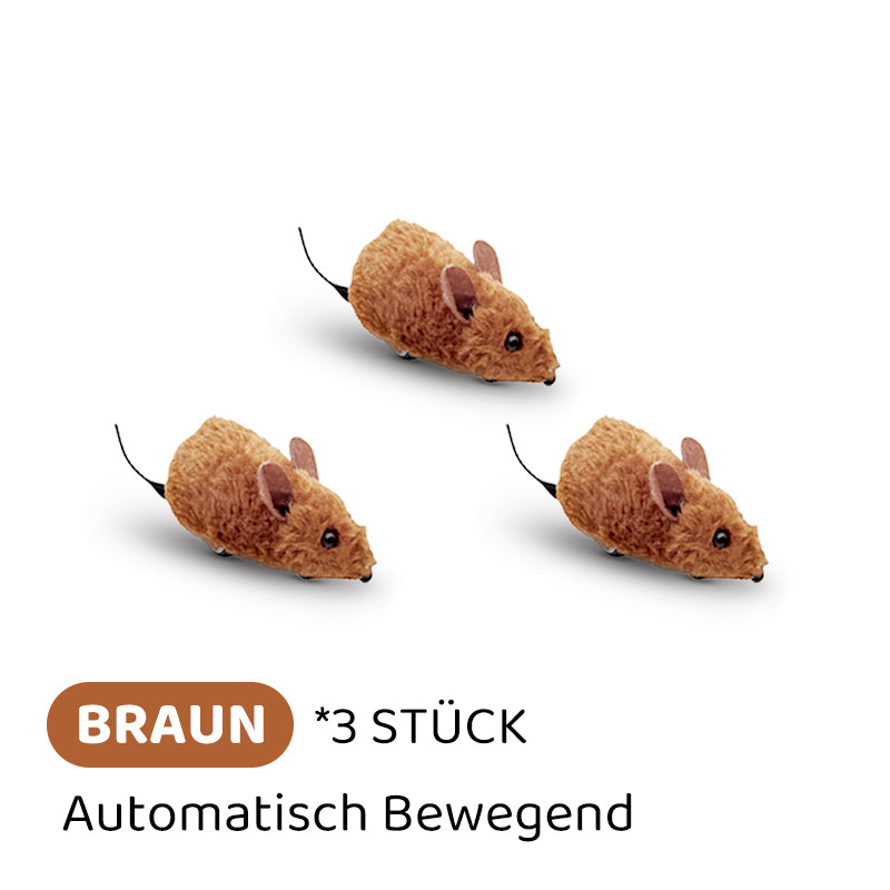 2+1 GRATIS | PawChase – Jagen, spielen, juchzen – der Spaß für deine Katze!