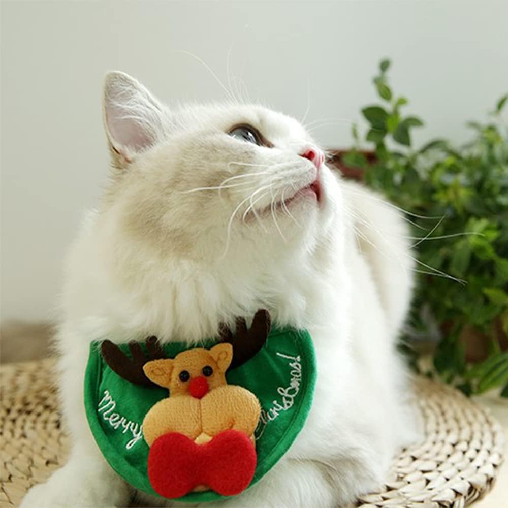 MerryPaw – Lass dein Haustier zum Weihnachtsstar werden!