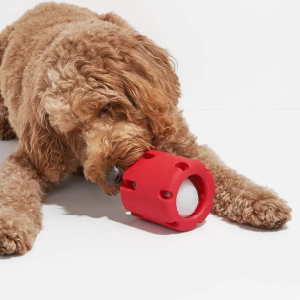 ChewJoy Pro – Gesunde Zähne, glücklicher Hund!!