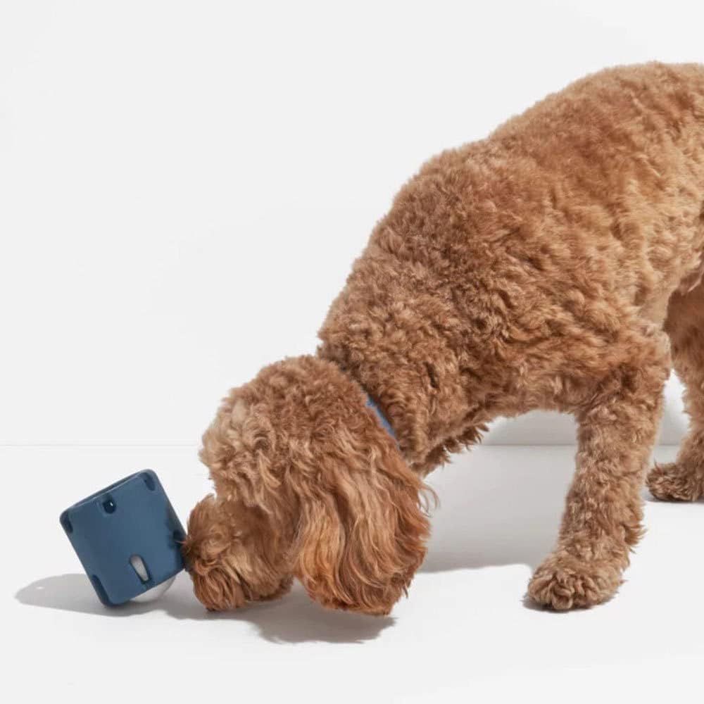 ChewJoy Pro – Gesunde Zähne, glücklicher Hund!!