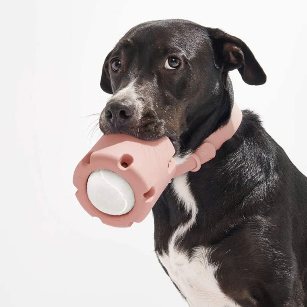 ChewJoy Pro – Gesunde Zähne, glücklicher Hund!!