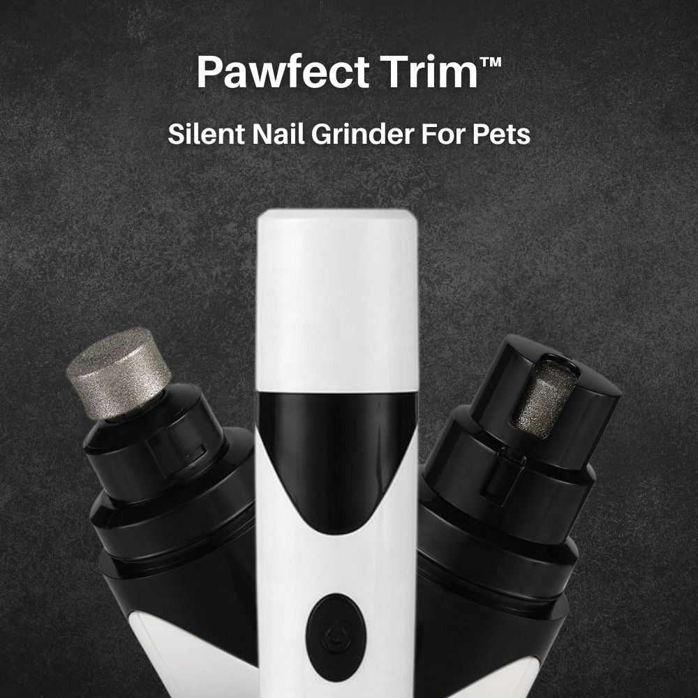 Pawlio Krallenschleifer | Diamant-Schleifkopf | Leise & Sicher | Für Hunde, Katzen & Kleintiere