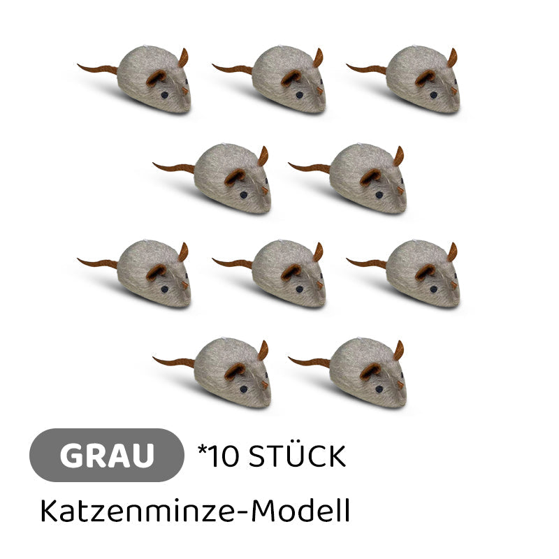 2+1 GRATIS | PawChase – Jagen, spielen, juchzen – der Spaß für deine Katze!