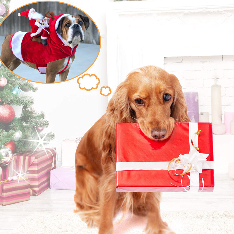 FestiveFur - Mach dein Haustier zum Star jeder Feiertagsparty