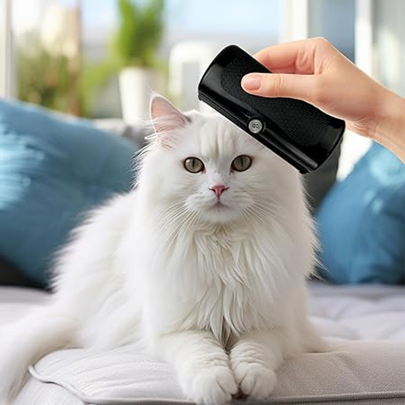 FurMaster – Für ein sauberes, glänzendes & glückliches Tier