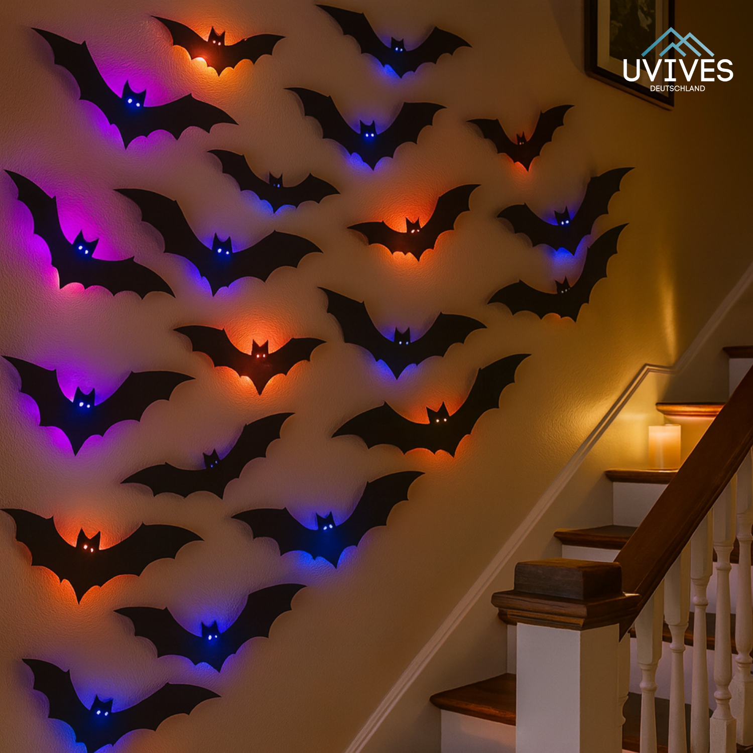 NightBat – Schaurige Schatten, Magisches Licht!