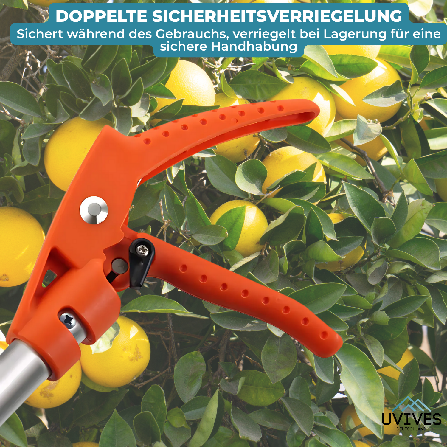 TrimReach – Müheloses Schneiden hoher Hecken