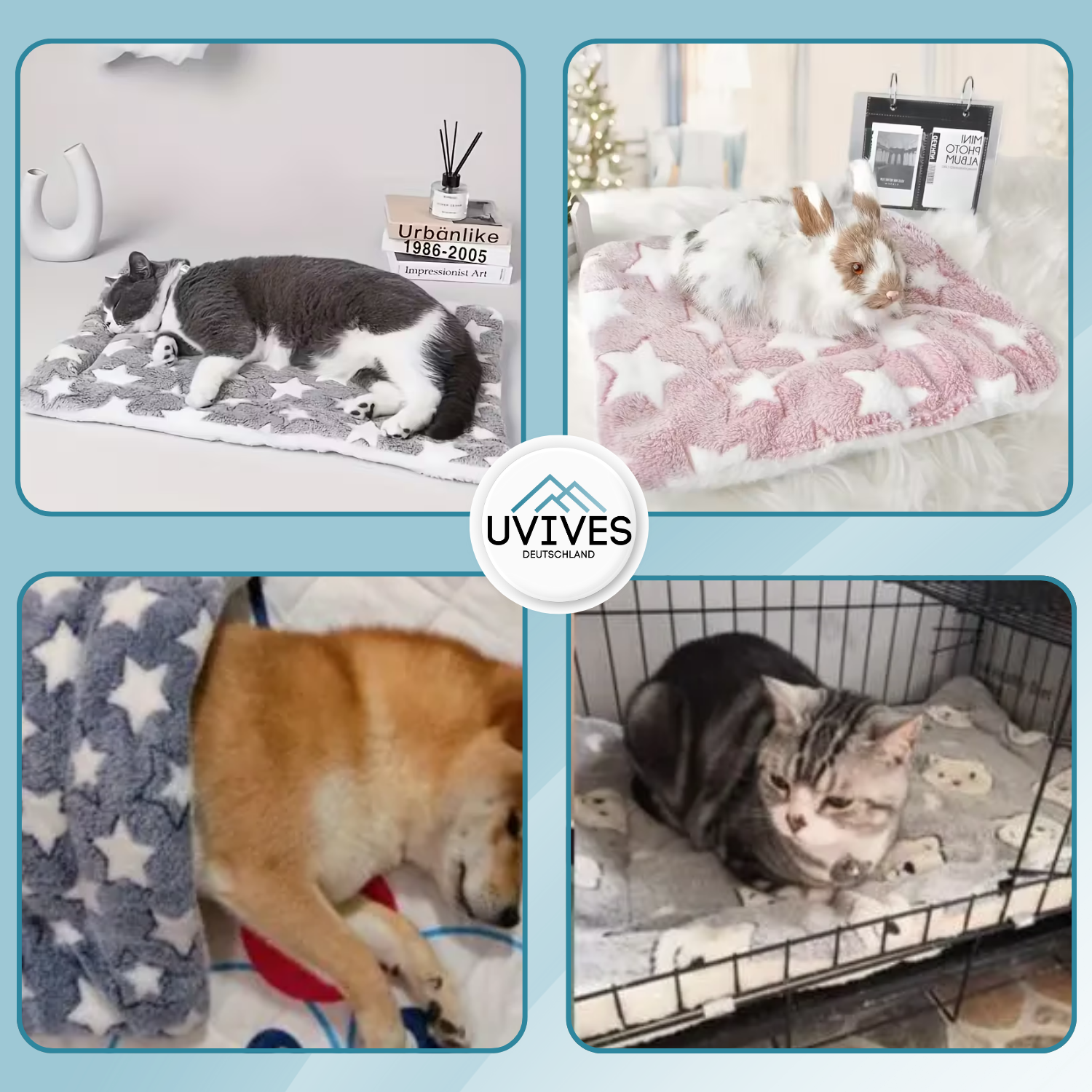 CozyPaw – Tiefenentspannung für deine Katze!