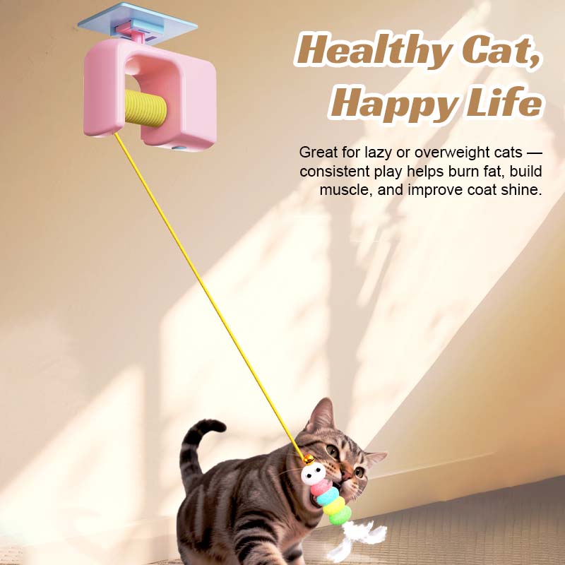 PawRush – Das automatische Katzenspiel für wilde Jagd-Momente!