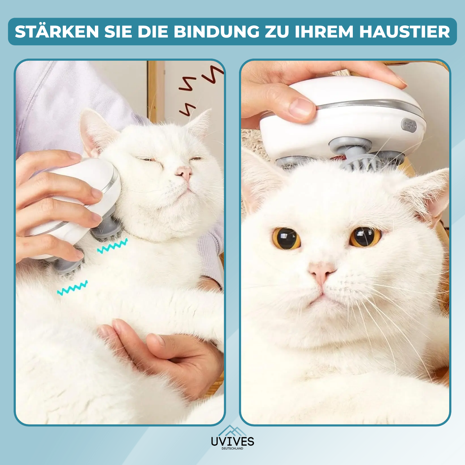 PurrEase – Entspannung, die deine Katze lieben wird!