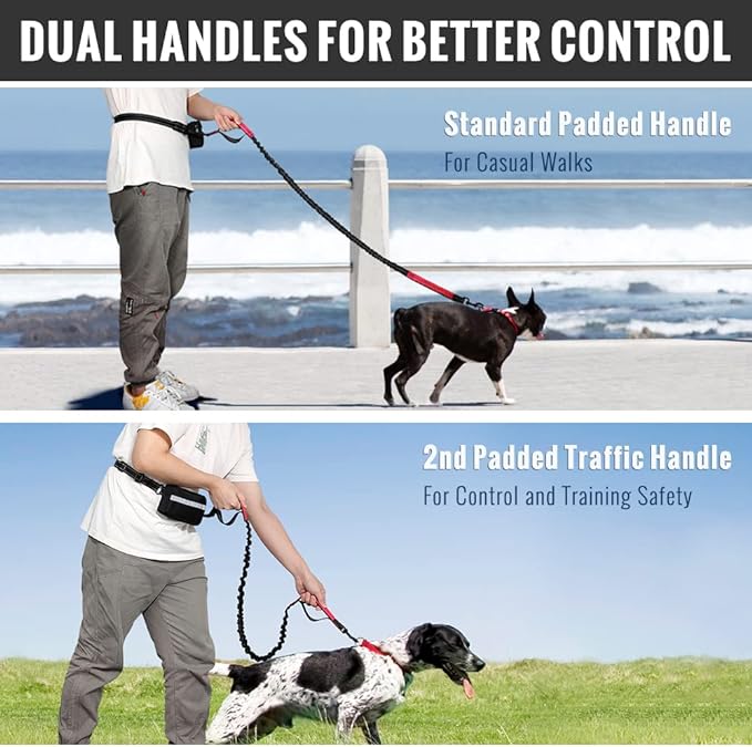 PawsFree Pro – Stressfreie Spaziergänge mit deinem Hund!