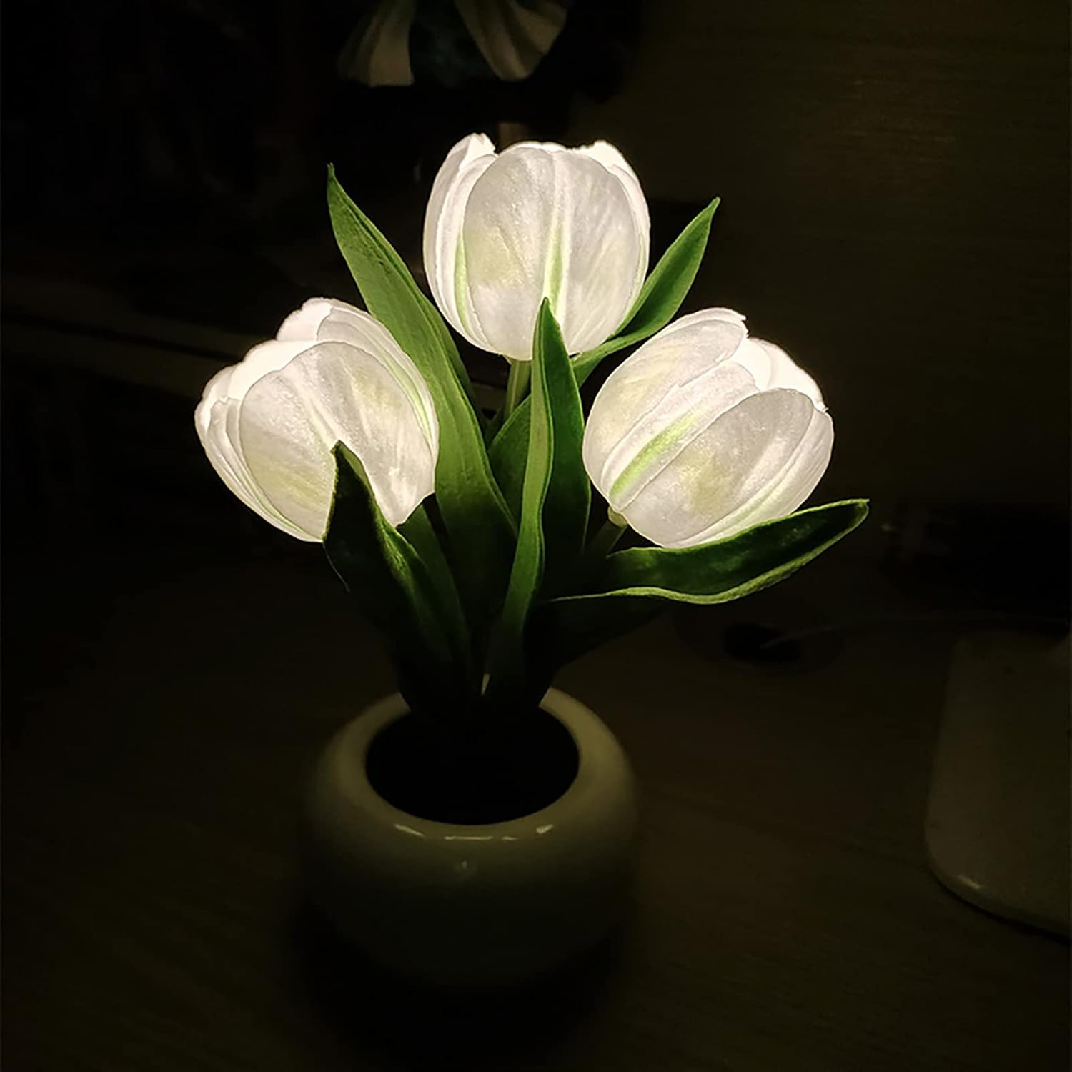BloomTulip – Romantik & Licht in einem!