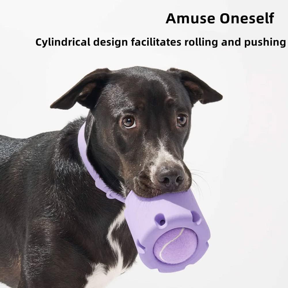 ChewJoy Pro – Gesunde Zähne, glücklicher Hund!!