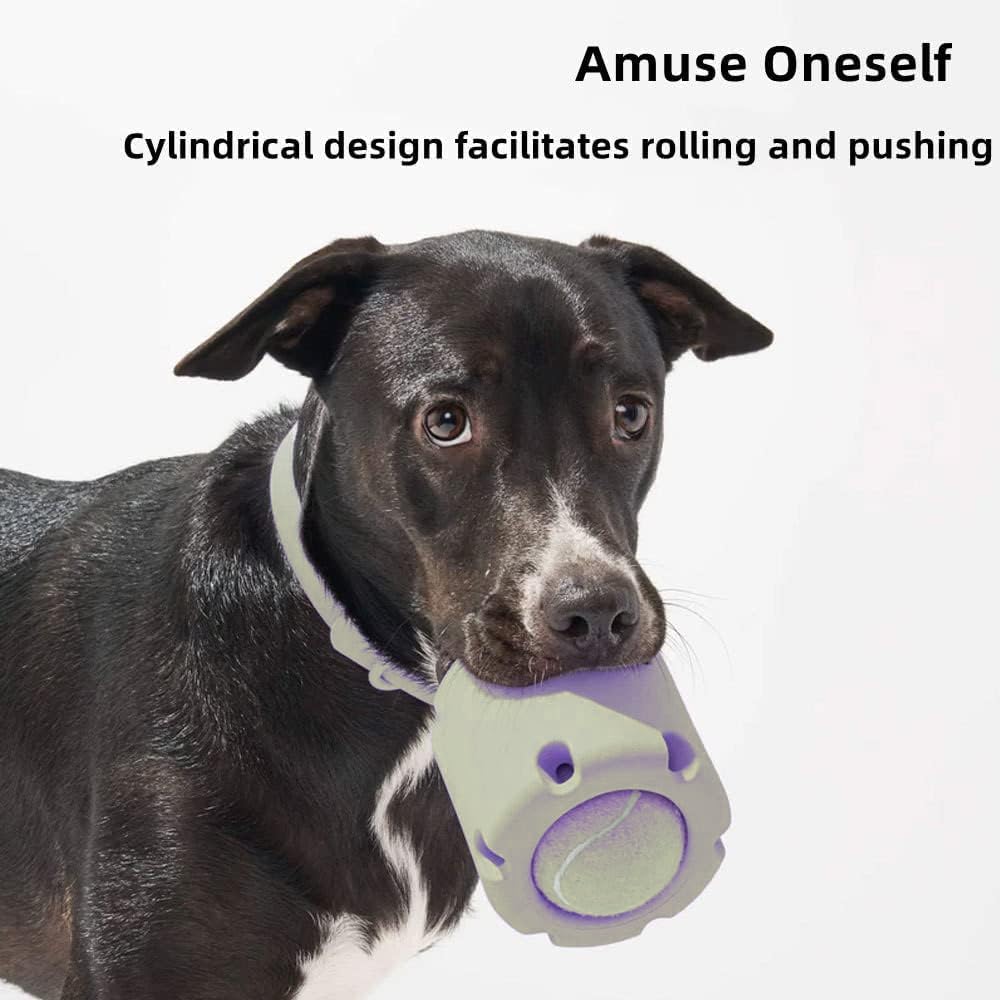 ChewJoy Pro – Gesunde Zähne, glücklicher Hund!!
