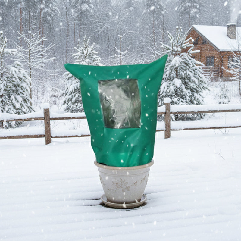 CozyPlant – Ihre Pflanzen durch die Winterkälte schützen und gedeihen lassen