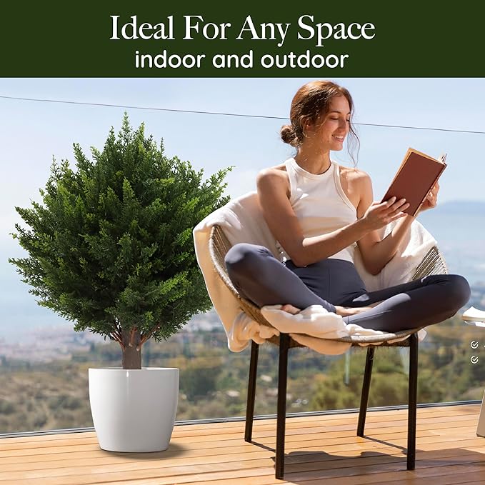 1+1 GRATIS | EverGreen – Immergrüne Eleganz ohne Pflegeaufwand!