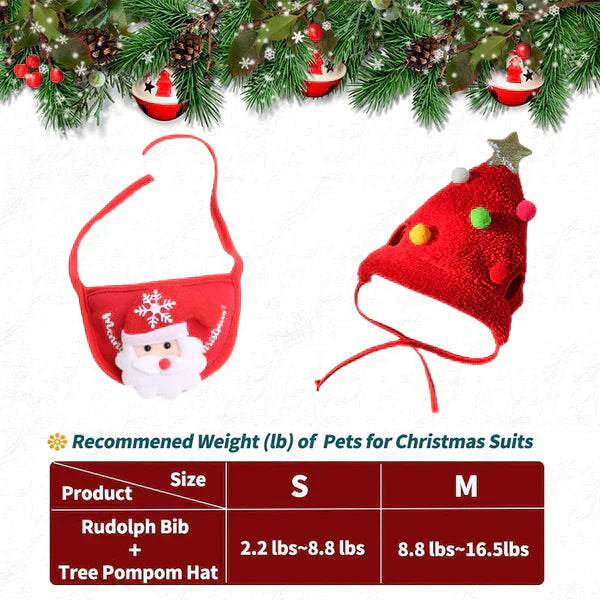 MerryPaw – Lass dein Haustier zum Weihnachtsstar werden!