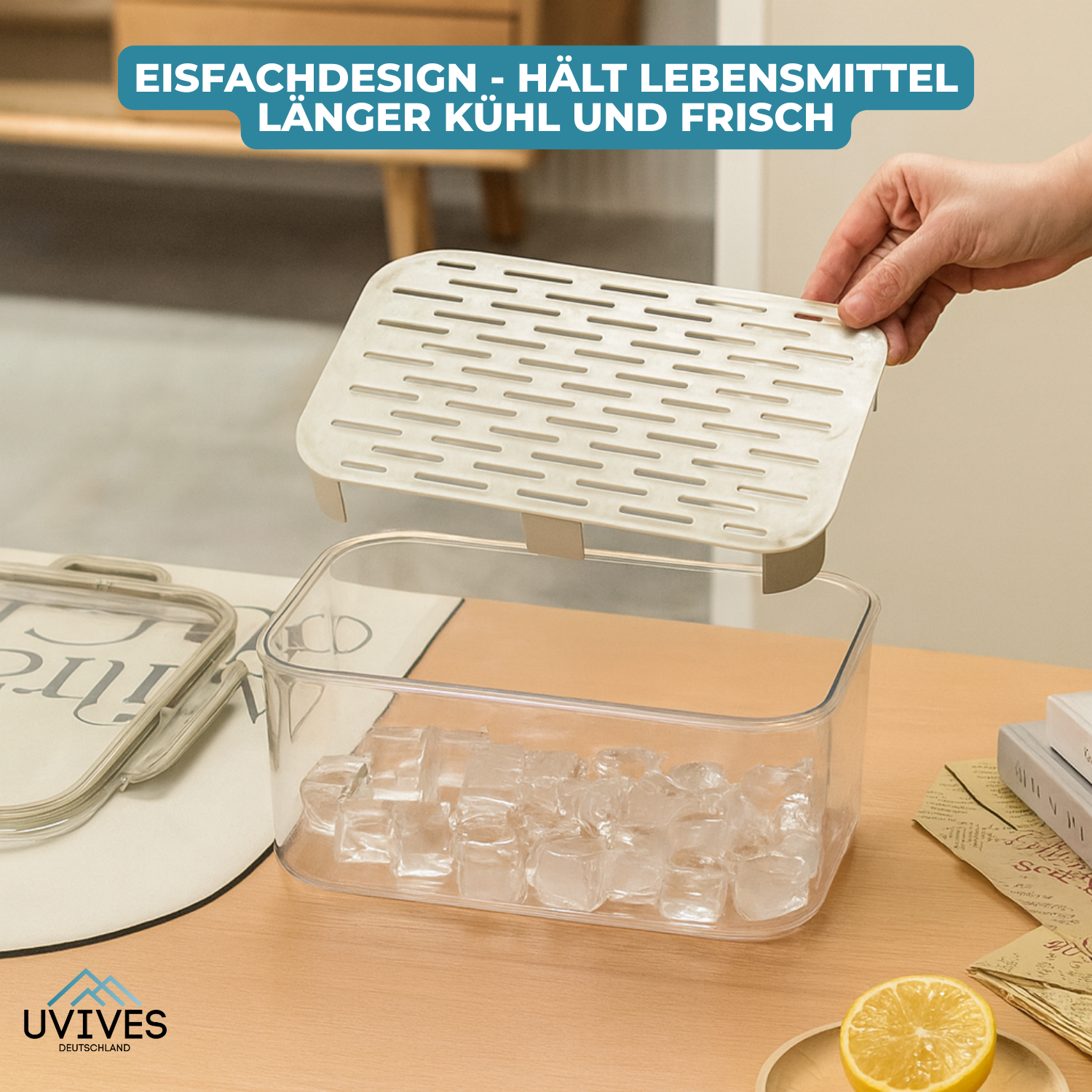 SnackBox – Frische, die länger hält!