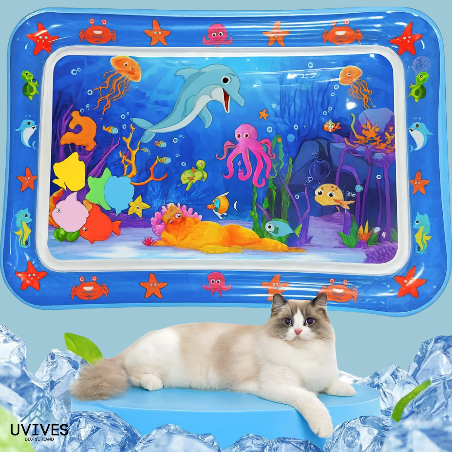 AquaPaws – Das ultimative Spielvergnügen für Katzen