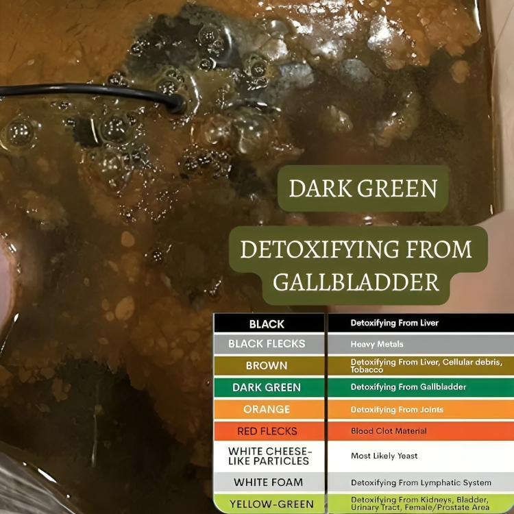 RevivePure - Schnelle Linderung bei Müdigkeit, Schmerzen und Toxinabbau