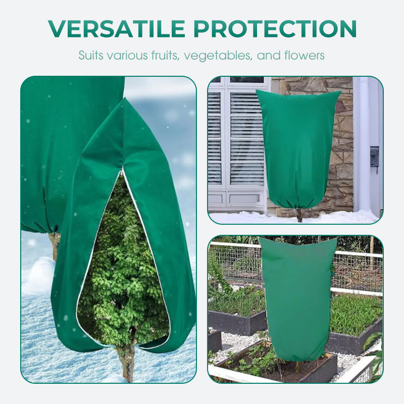 CozyPlant – Ihre Pflanzen durch die Winterkälte schützen und gedeihen lassen