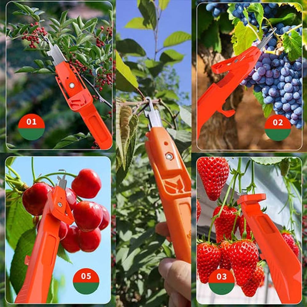 GartenMeister – Ernte ohne Mühe!
