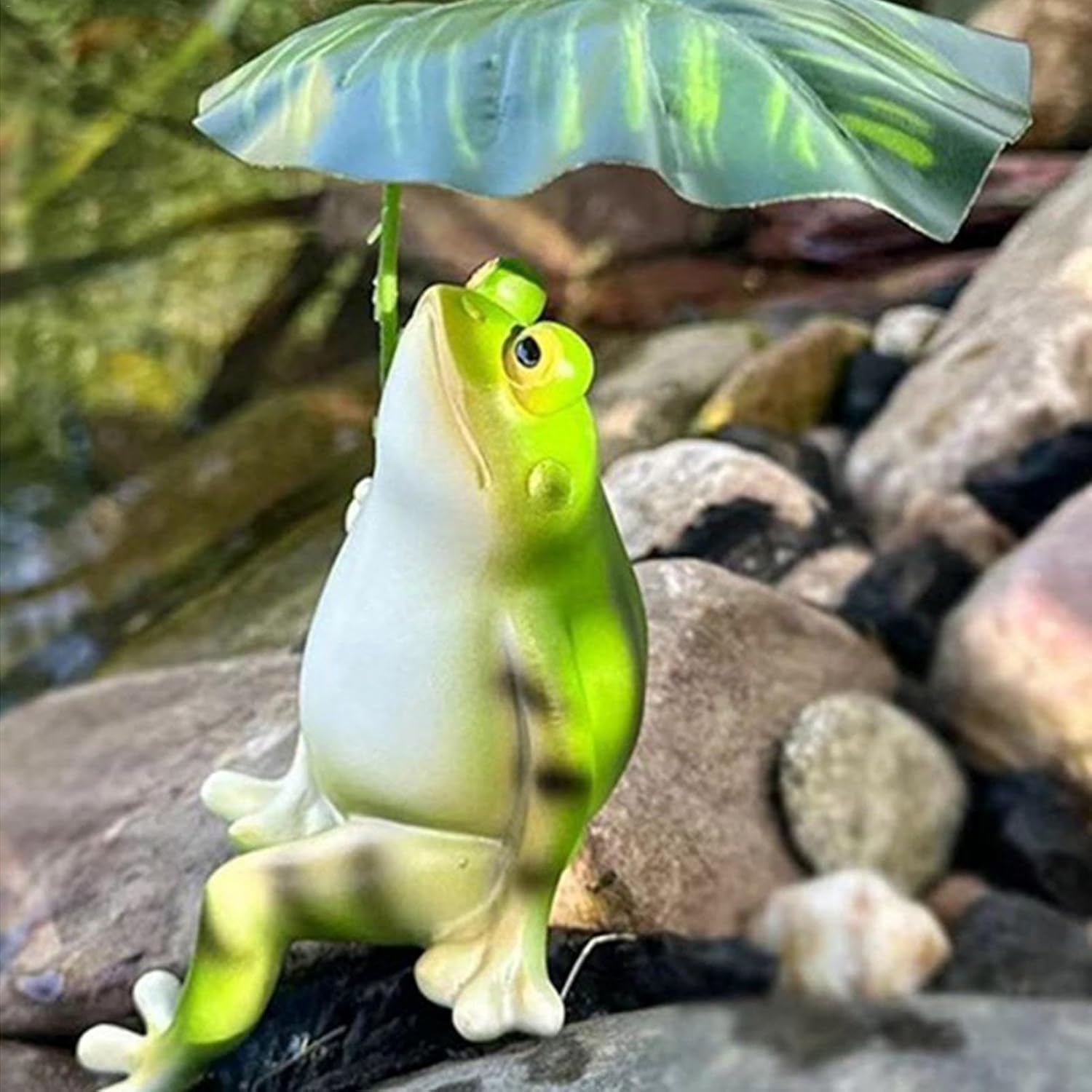 FrogZen – Der kleine Frosch, der Ruhe und Freude bringt