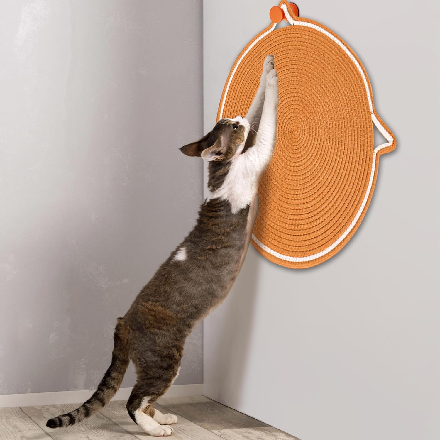 ClawMat – Kratzspaß für deine Katze, Schutz für dein Zuhause!