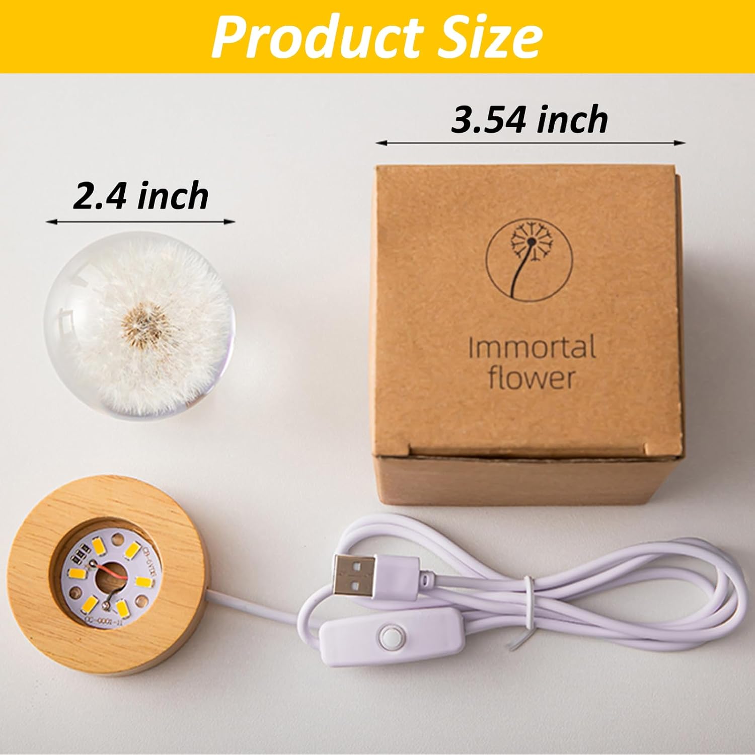 LumaBloom – Magisches Licht, das Herzen verzaubert