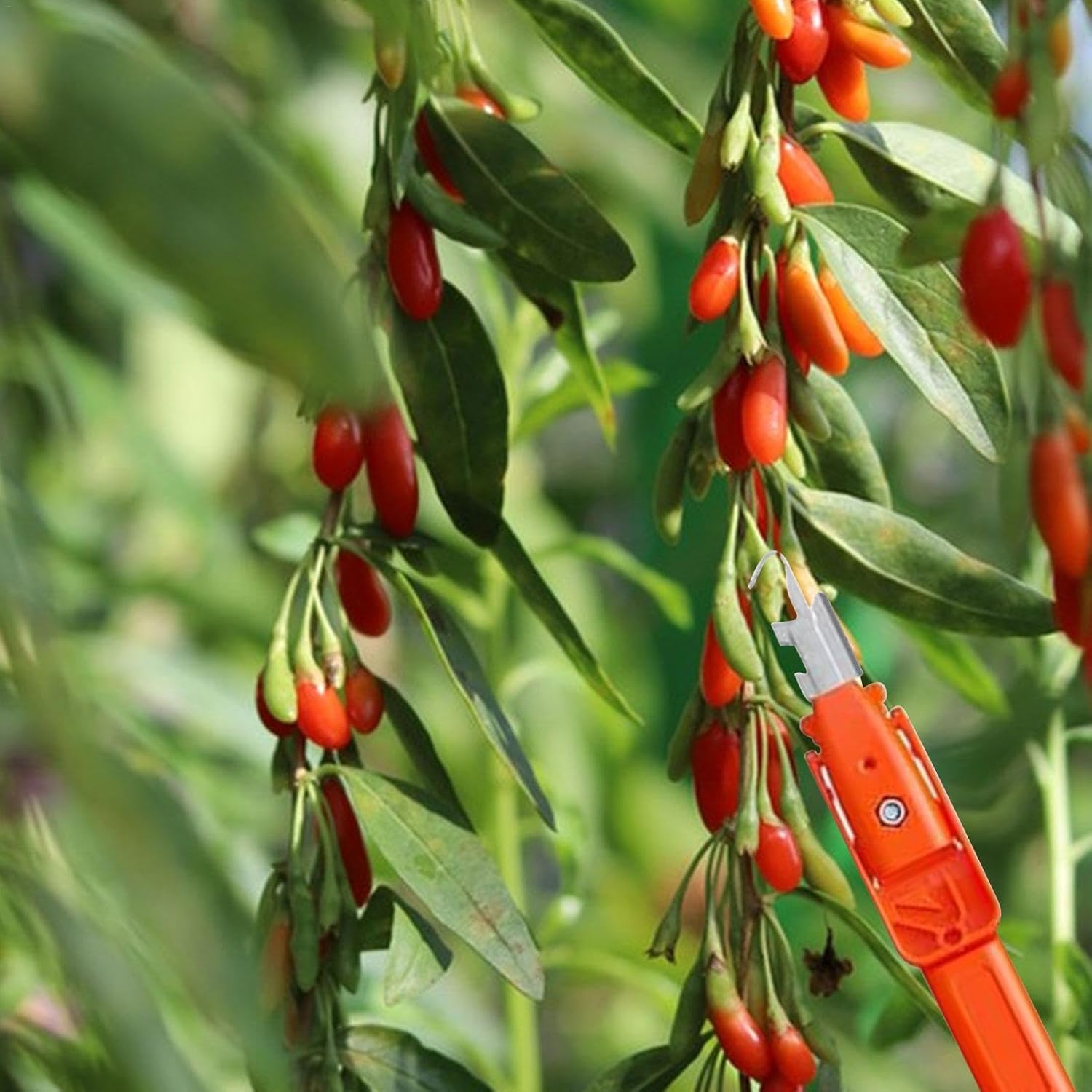 AgroEase – Ernte & Schneiden leicht gemacht