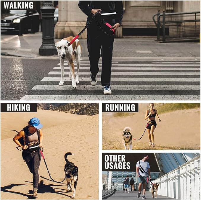PawsFree Pro – Stressfreie Spaziergänge mit deinem Hund!
