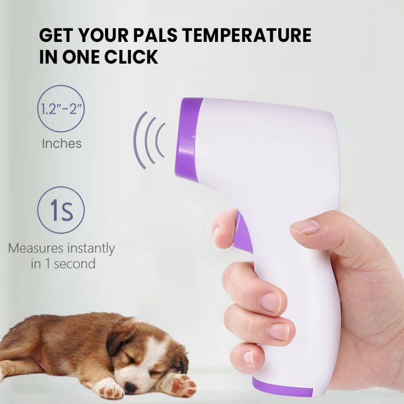 PawTemp – Stressfreie Fiebermessung für jeden Hund!