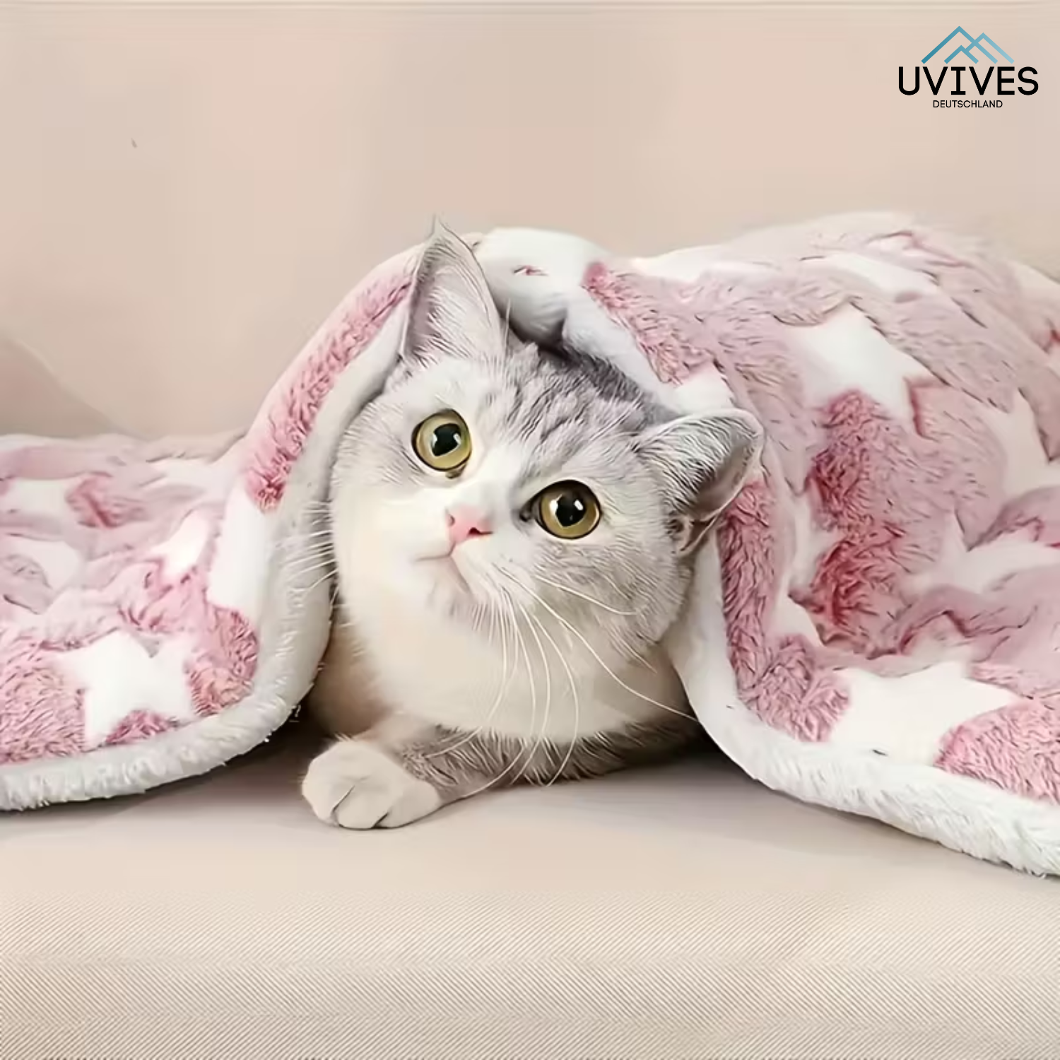 CozyPaw – Tiefenentspannung für deine Katze!