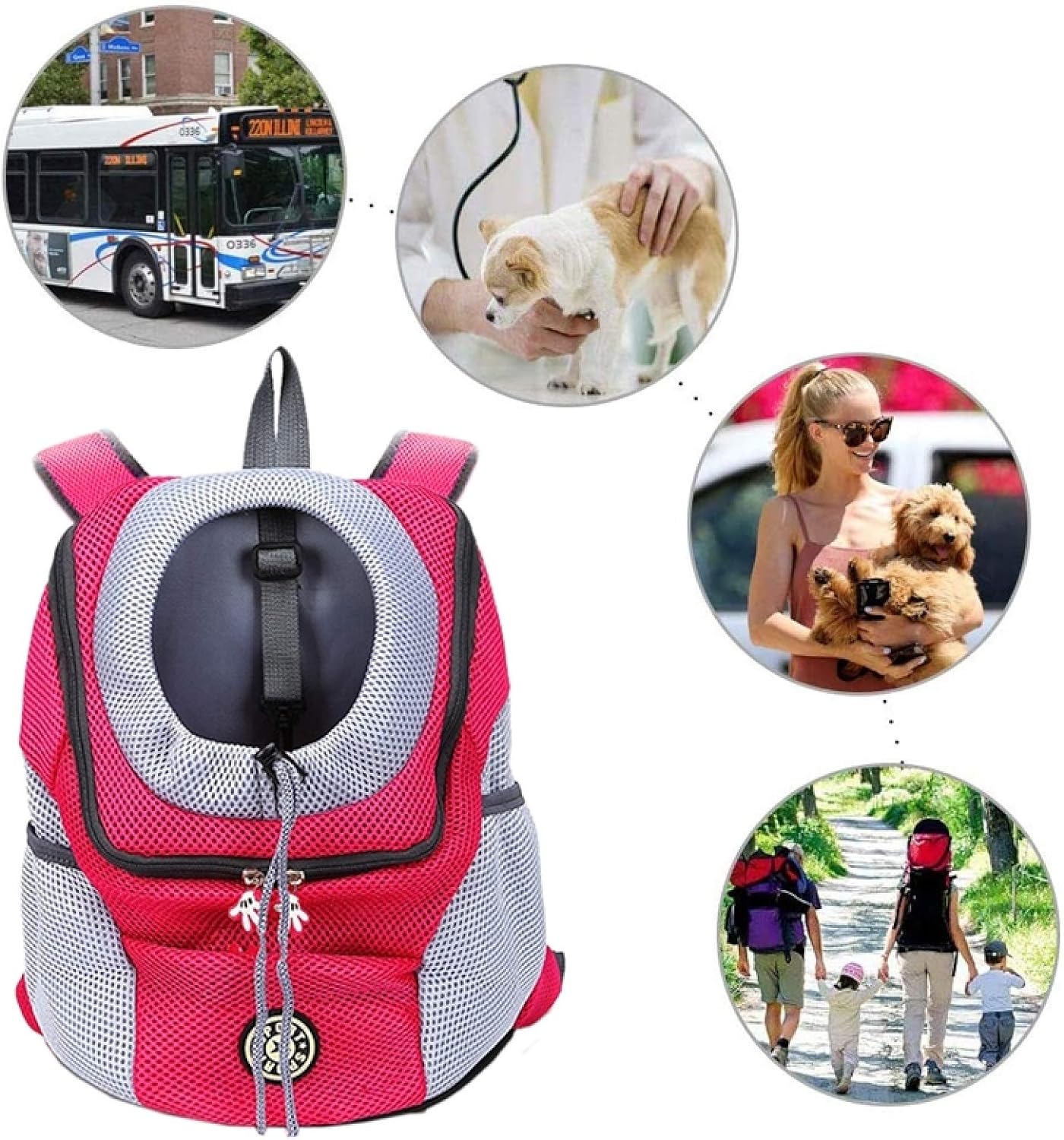 PawCarry – Gemeinsam überall unterwegs