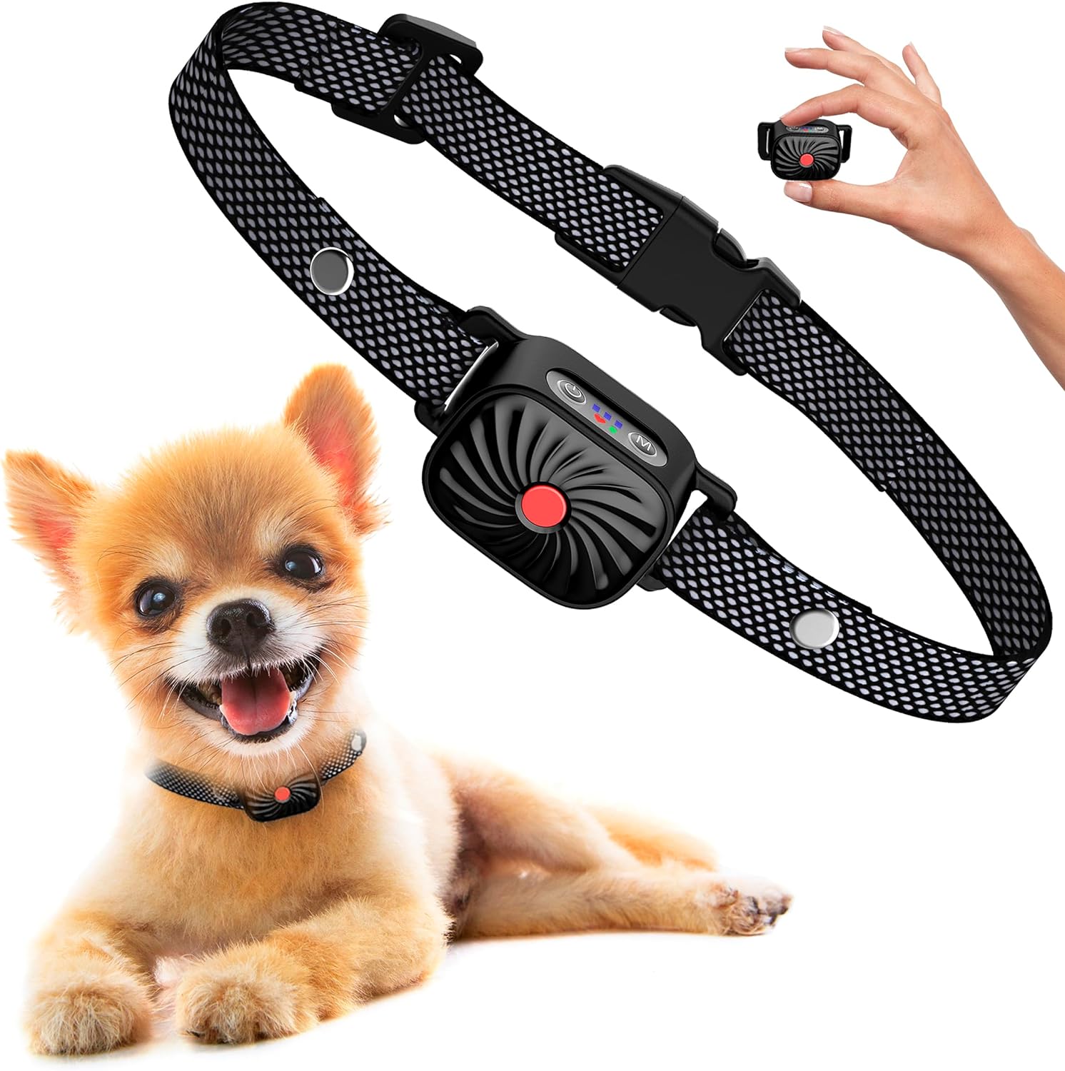 BelloCalm Antibellhalsband | Für Kleine Hunde | 4 Vibrationsstufen | Intelligente Geräuscherkennung