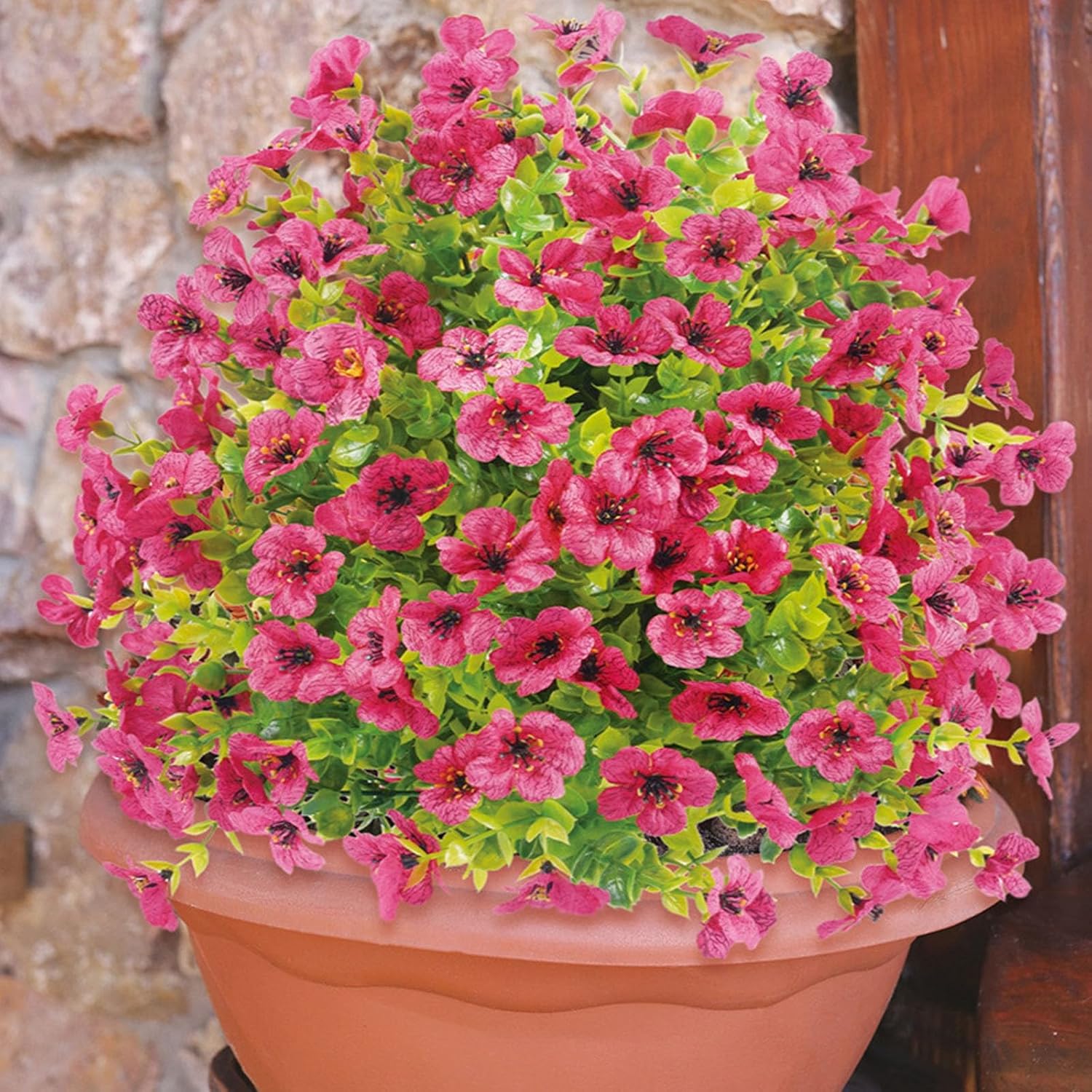 ForverBloom – Farbenfrohe Schönheit ohne Pflegeaufwand!