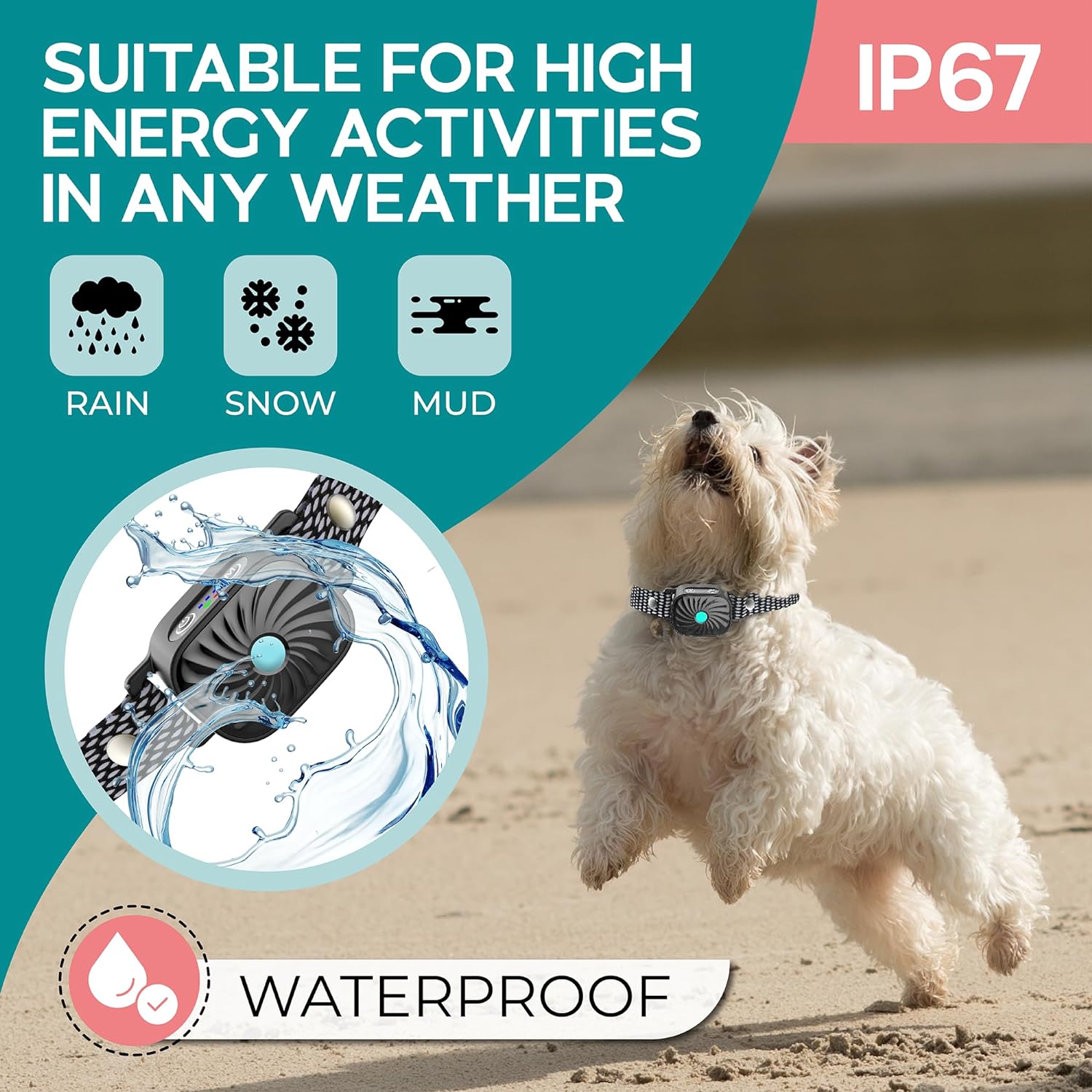 BelloCalm Antibellhalsband | Für Kleine Hunde | 4 Vibrationsstufen | Intelligente Geräuscherkennung
