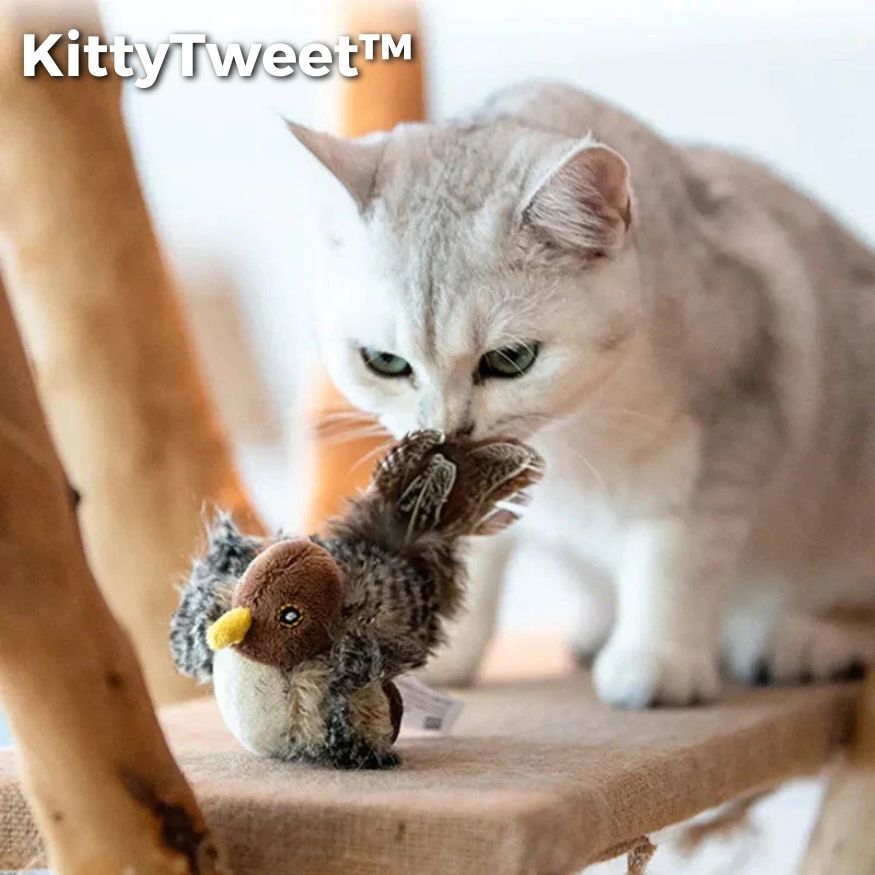 50% RABATT | KittyTweet™ - Simulierter Vogel mit Geräuschen [Letzter Tag Rabatt]