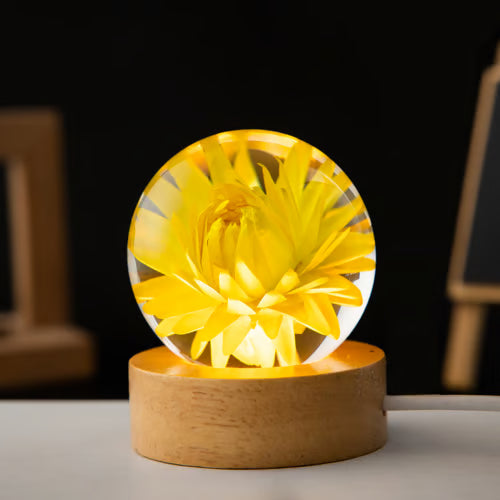 LumaBloom – Magisches Licht, das Herzen verzaubert