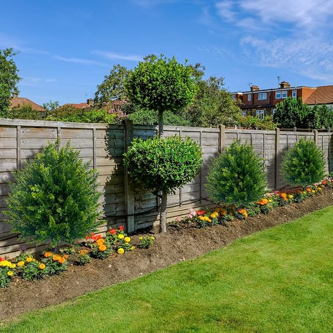 1+1 GRATIS | EverGreen – Immergrüne Eleganz ohne Pflegeaufwand!