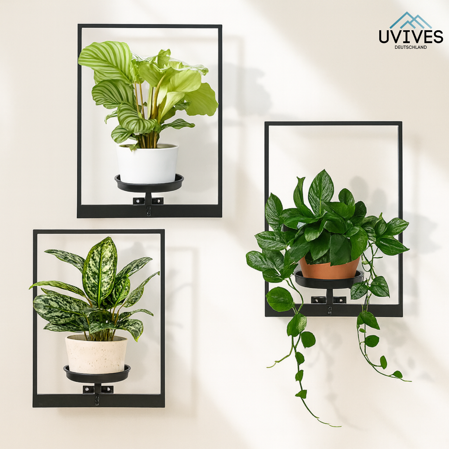 VerdeFrame – Mehr Platz, mehr Stil, mehr Natur!