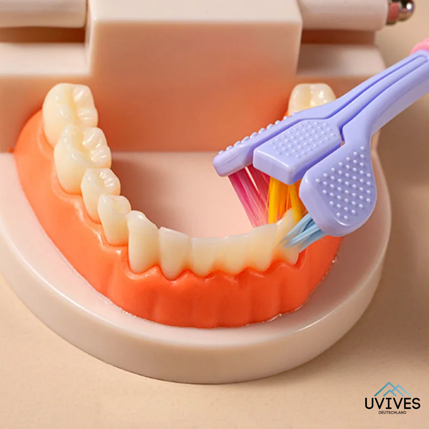 Tooth360 – Rundum saubere Zähne in Rekordzeit!