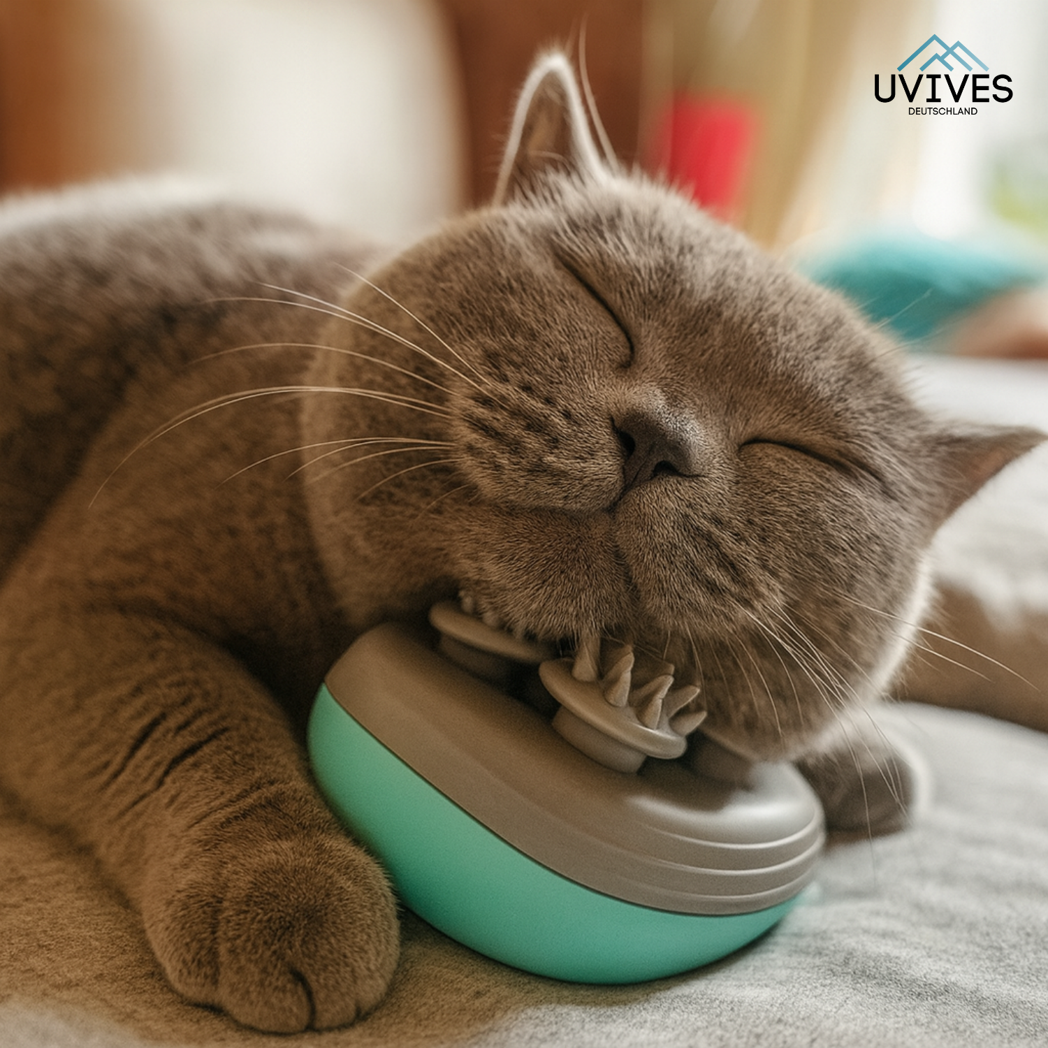 PurrEase – Entspannung, die deine Katze lieben wird!