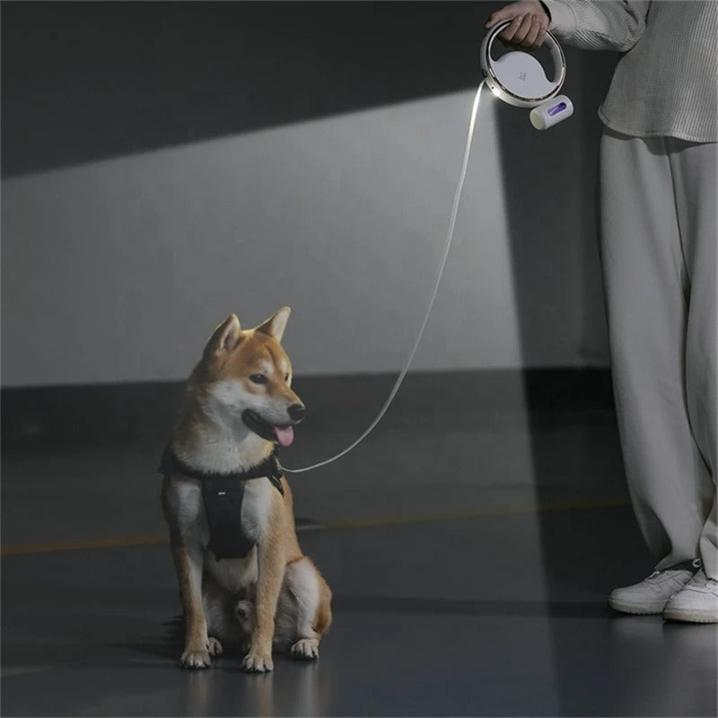 GlowLeash | Automatische Hundeleine | LED-Licht für Sicherheit | Ergonomischer Griff