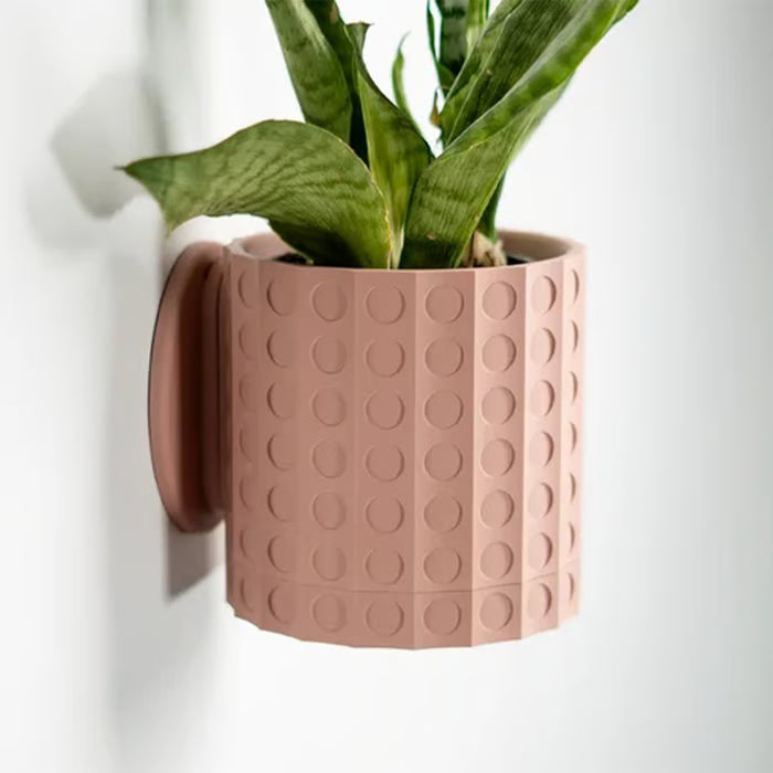 GreenWall – Verwandeln Sie jede Wand in ein Pflanzenparadies!