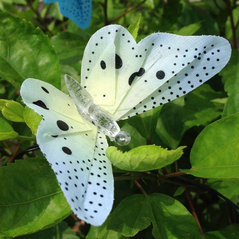 LumiWings – Verwandle Garten & Zuhause in ein Märchenland!